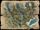 U9-yew.jpg