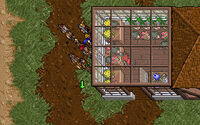 Greenhouse