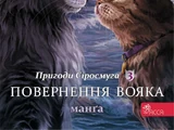 Повернення вояка
