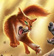 На китайській обкладинці «Сутінки»