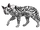 Сяйвосерда