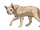 Шугай