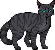 Каменесмух вояк