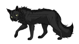 Сіросмуг by Синьокрила