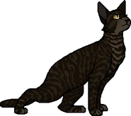 Багнокіготь воєвода