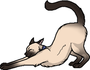 Роза кицюня