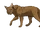 Травошуб