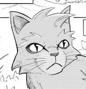 Сіросмуг манга2.jpg (34 КБ) Сіросмуг у манзі «Зниклий вояк»