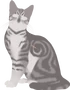 Сойкопер
