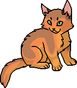 Луна кошеня