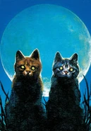 Вогнесерд і Сіросмуг Вогонь і крига.jpg (1,22 МБ) Сіросмуг (праворуч) на обкладинці «Вогонь і крига»