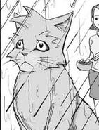 Сіросмуг манга1.jpg (59 КБ) Сіросмуг у манзі «Зниклий вояк»