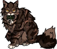 Провидець Шпилястих Каменів цілитель