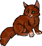 Вивірка кошеня