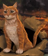 На китайській обкладинці «Довгі тіні»