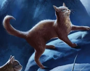 На китайській обкладинці «Сходить місяць»