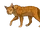 Вишнелапка (Забутий вояк)