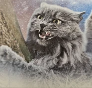 Сіросмуг герої кланів укр.jpeg (518 КБ) З українського видання путівника «Герої Кланів. Хроніки Зореклану»