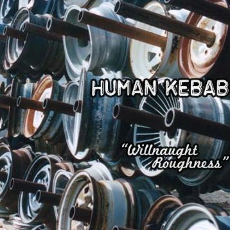 Willnaught Roughness Ubiquitous Synergy Wiki Fandom