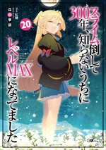 Novel 20