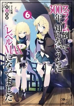 Novel 6