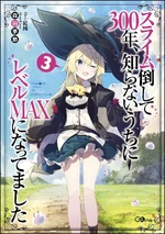 Novel 3