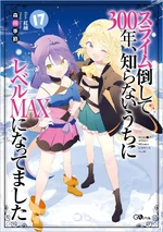 Novel 17