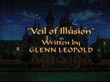 Veil of Illusion