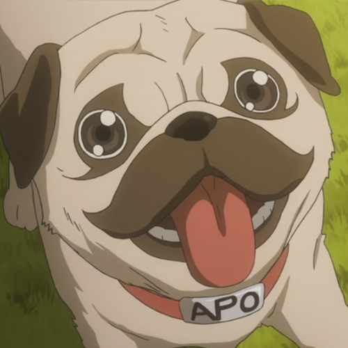 Boy's Anime Pug & 