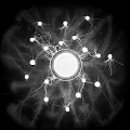 Master of Ancestors: The Humankind Odyssey Wiki
Completed all achievements