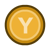 Y