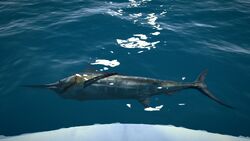 Pinas Bay Ultimate Fishing Simulator Wiki Fandom