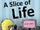 A Slice of Life