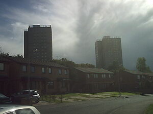 Picture388