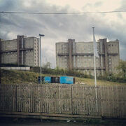 Cardonald flats 1