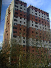 Octavia Court