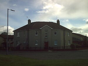 Picture386