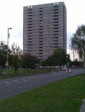 IMAG0225