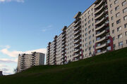 Moos heights.jpg