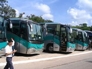 Several buses parked at Chichen Itza, Mexico