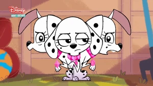 37. Destiny Dallas, Déjà Vu - Najlepszy przyjaciel psa