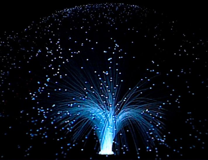 Venus Rotating Fiber Optic Lamp Ultimate Baby Einstein Wiki Fandom