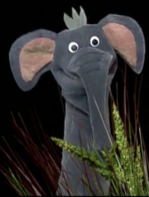Noah The Elephant | Ultimate Baby Einstein Wiki | Fandom