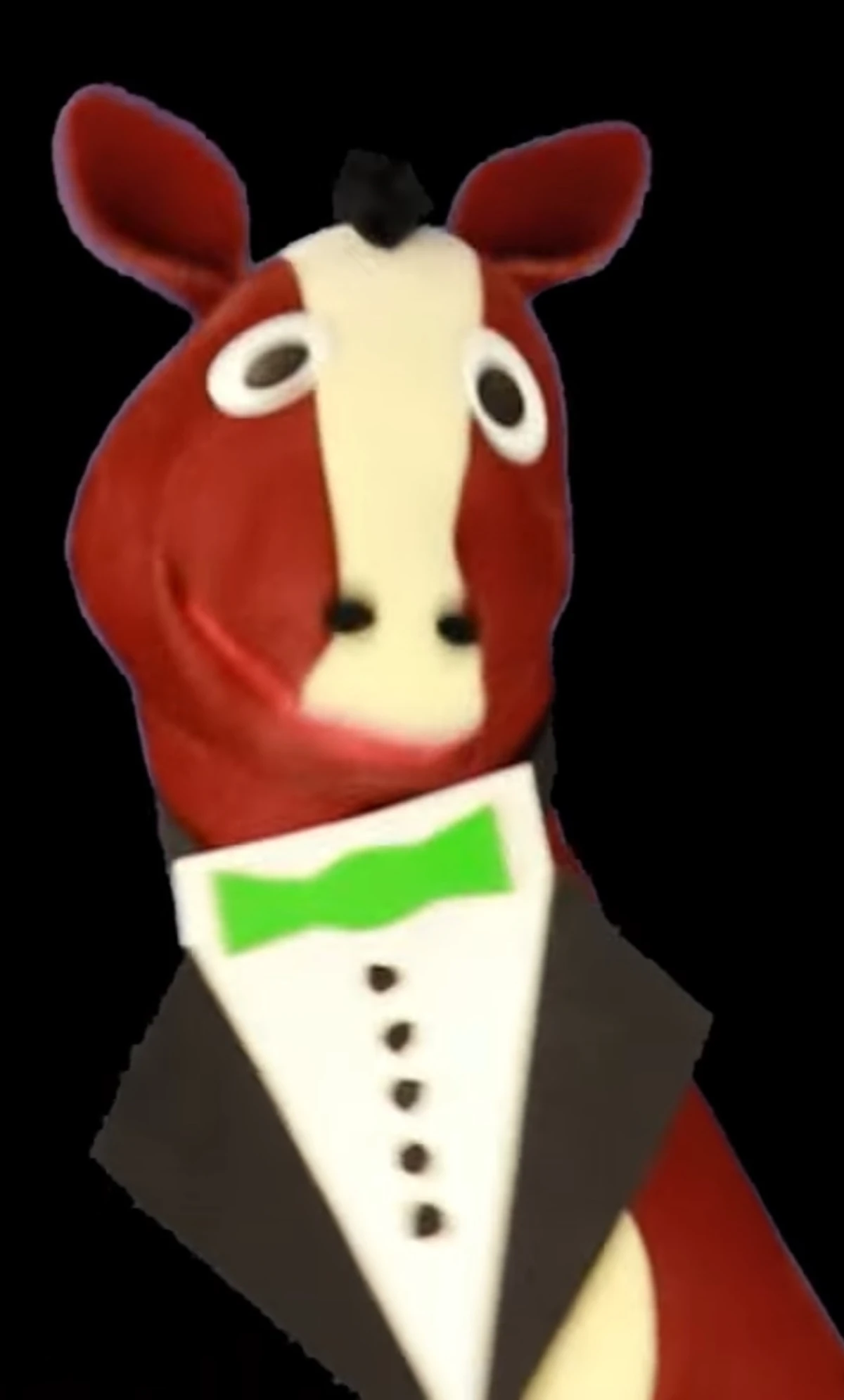 Haydn The Horse | Ultimate Baby Einstein Wiki | Fandom
