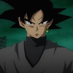 Goku Black™, Wiki