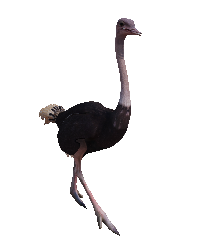 Ostrich | Ultimate Epic Battle Simulator Wiki | Fandom
