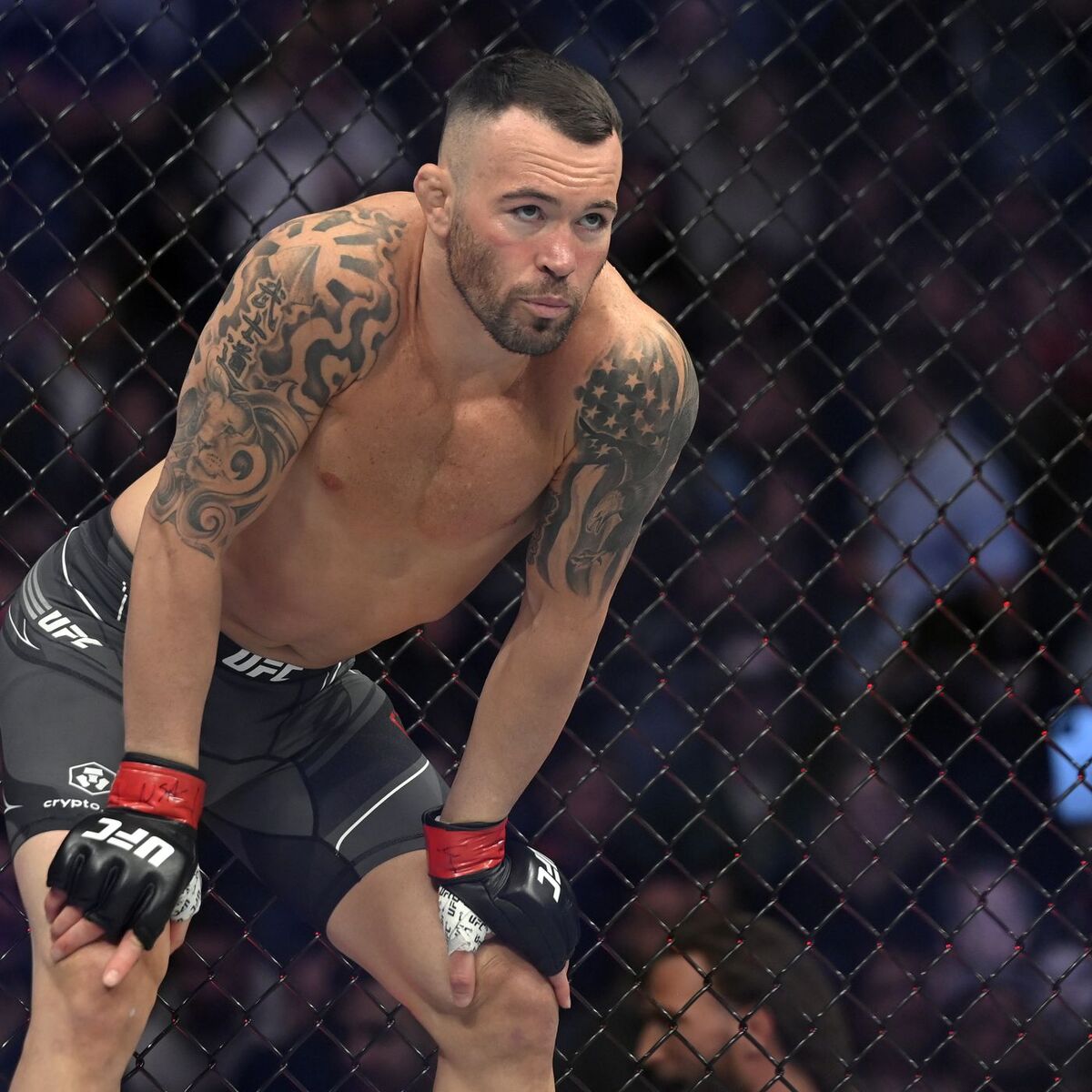 Colby Covington | Wiki Ultimate Fighting Championship | Fandom