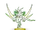 Ganglion