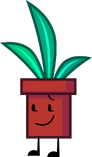 Planty