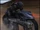 Bullet Biker